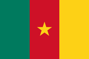 drapeau du Cameroun